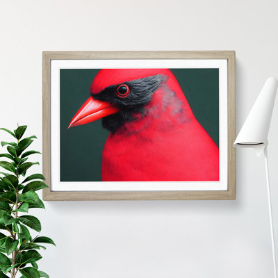 Cardinal Bird Vol.17 - Single Picture Frame Print