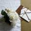 Anastasija Arrangement-2007087556
