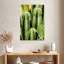 Harnek Totem cactus-108441122