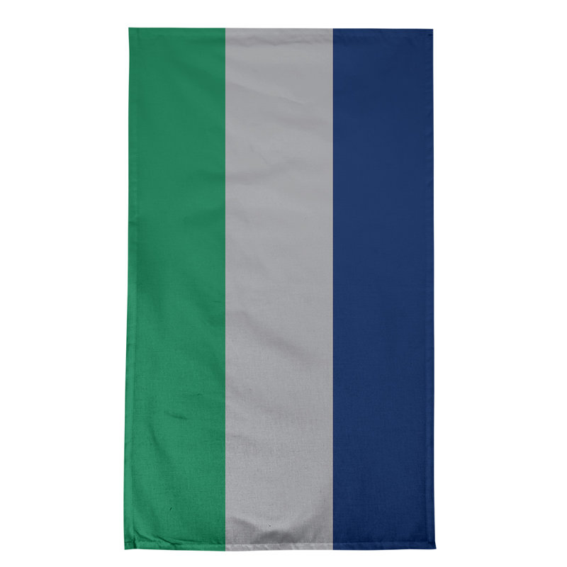 Serviette de thé hockey Anaheim, Vert / gris froid / bleu, Sergé de coton