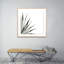 Agave II Print by Jess Engle-48615488-48615489