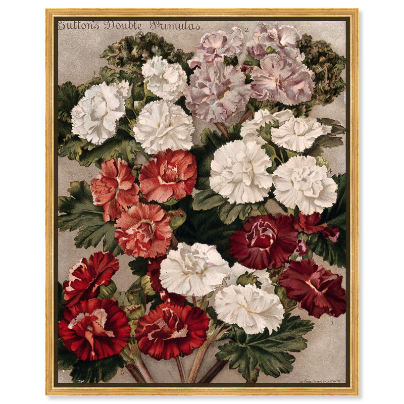 Fleurs de primevères sur toile , H 21 po x l 17 po, Cadre flottant, Argent argent