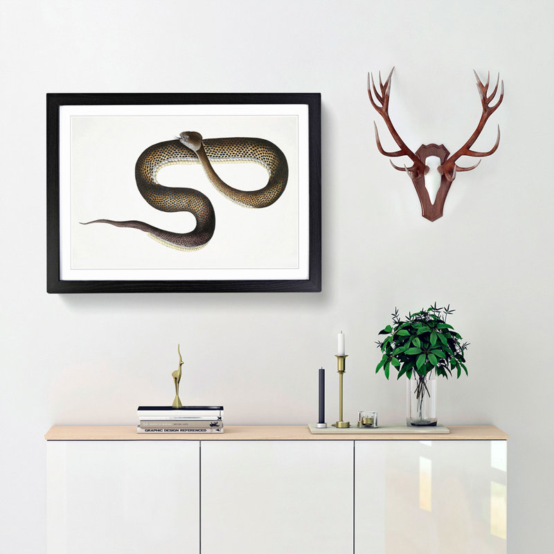 Blue Spotted Snake Illustration by John Edward Gray - Picture Frame Graphic Art Print, 48cm H x 65cm W x 2cm D, Black Framed