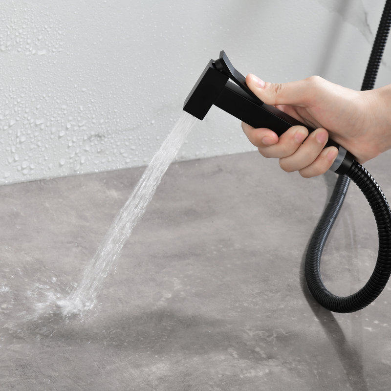 Wall Mounted Hot and Cold Single Hole Bidet Sprayer Faucet Set