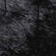 Shaggy Rug High Pile NAVARRA Black Polyester-980338688