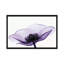 «Anemone II» par Robert Coop - reproduction de photo-49902753-53128237
