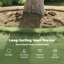 Lawn Edging 10 Pcs Grey Steel-923455813