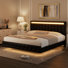3-Piece Bedroom Sets, Floating Bed Frame With Lighted Headboard & 2 6-Drawer Double Dresser