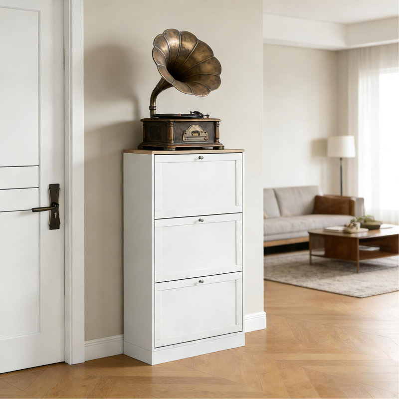 Petite armoire de rangement, armoire de rangement pour chaussures, armoire de rangement dissimulée pour chaussures