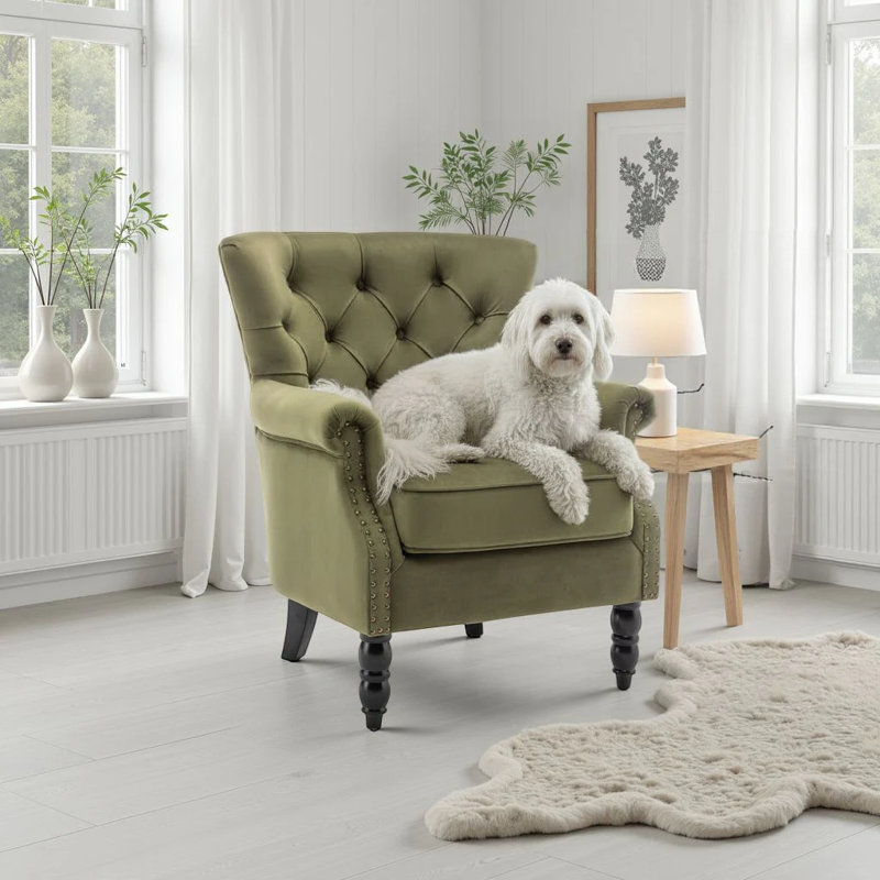 Liana Harmonsburg Accent Wingback Chair, Pink