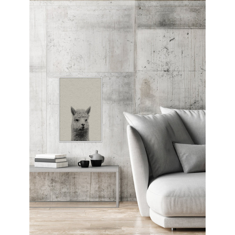 «Llama Surprise», reproduction sur toile encadrée, H 36 po x l 24 po x P 1,5 po