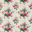 Cream/Pink