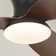 Karlena Ceiling Fan with LED Lights and Remote Control