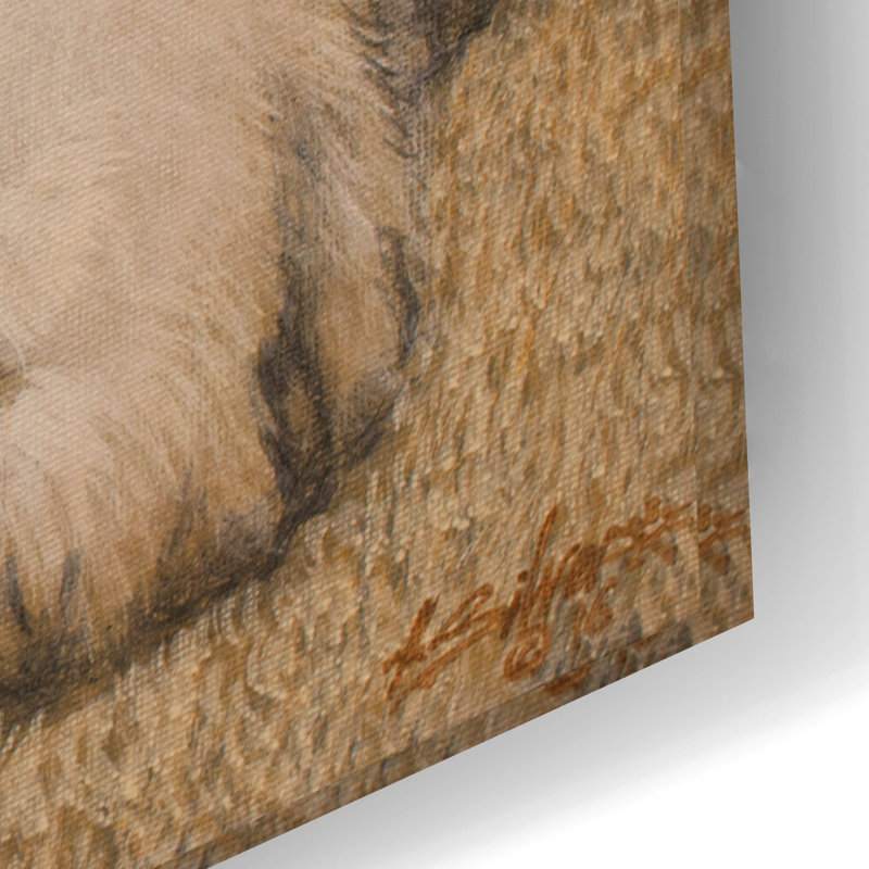 «Border Collie Love» par John Silver, H 16 po x l 24 po