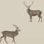 Evesham Deer Wallpaper-50888996