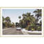 Palm Springs Memory 2 Print by Lillian August