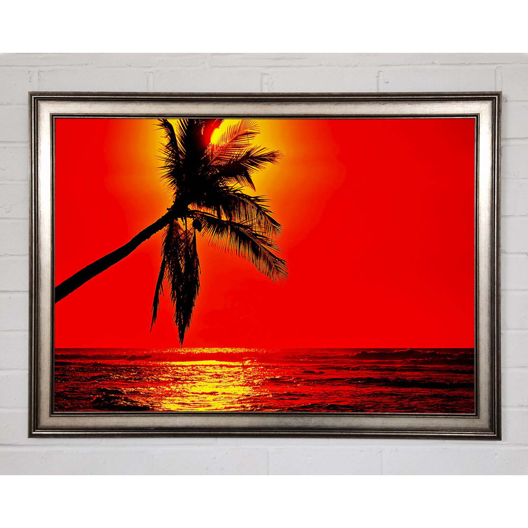 Palmtree Sunblaze Gerahmter Druck Wandkunst