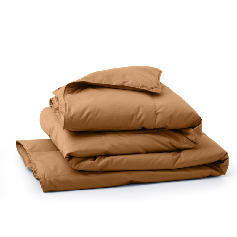 All Season Cotton Down Comforter/Duvet Insert, Brown, Twin Comforter