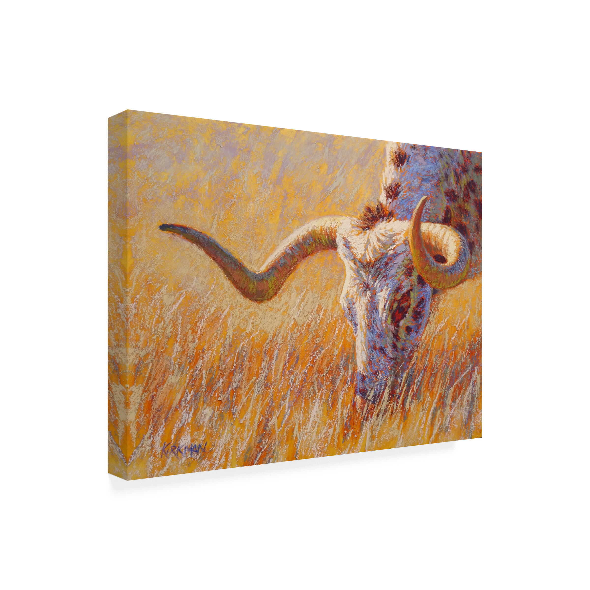 Union Rustic Wrapped Canvas Wall Art - Rita Kirkman 'Grazing Longhorn ...