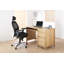 Symple Stuff Mesh Office Chair with Headrest