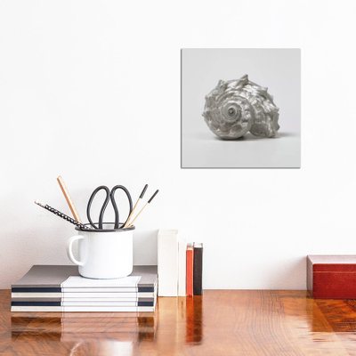 Beachside Treasure III - Wrapped Canvas Photograph
