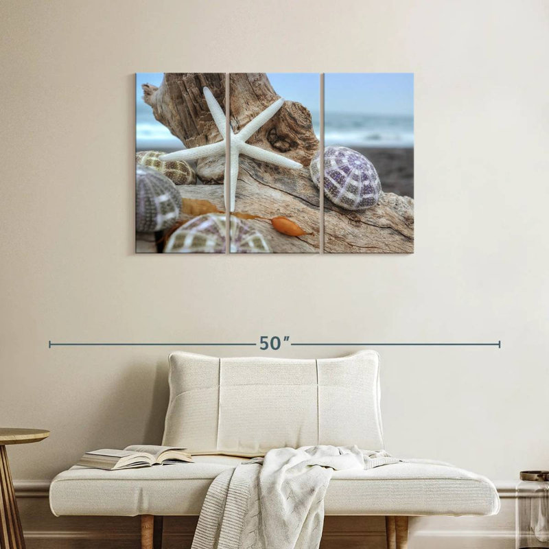 White crescent beach shells vii Aletra, H 24 po x l 38 po
