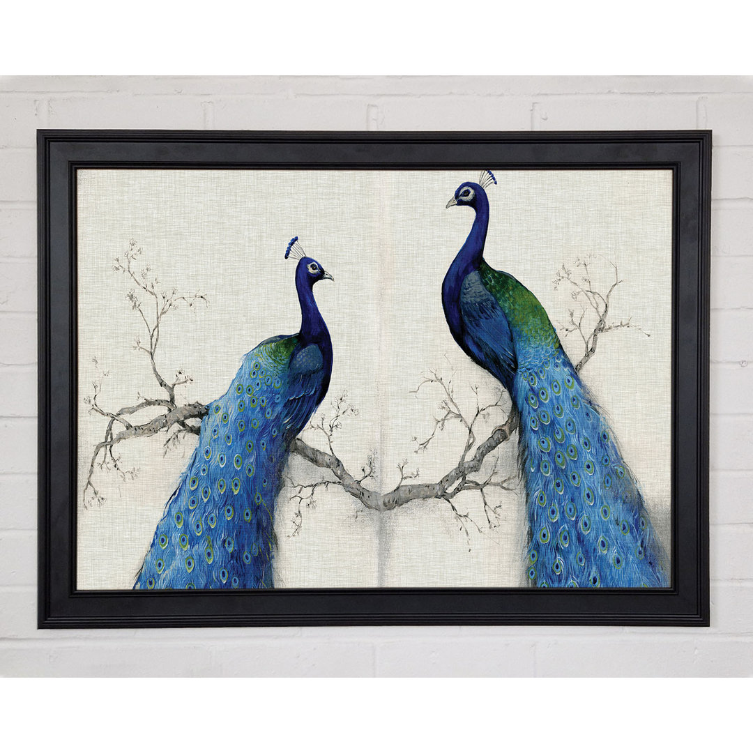 Gerahmtes Leinwandbild The Peacock Duo