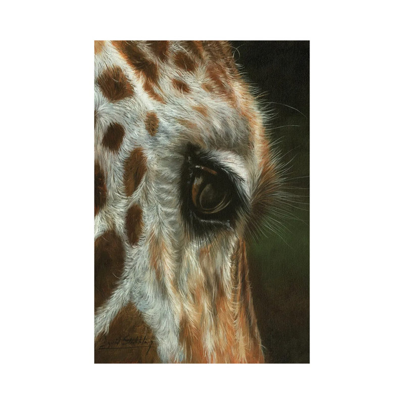 Giraffe Close by David Stribbling - Wrapped Canvas Painting, 152.5 cm H x 101.5 cm W
