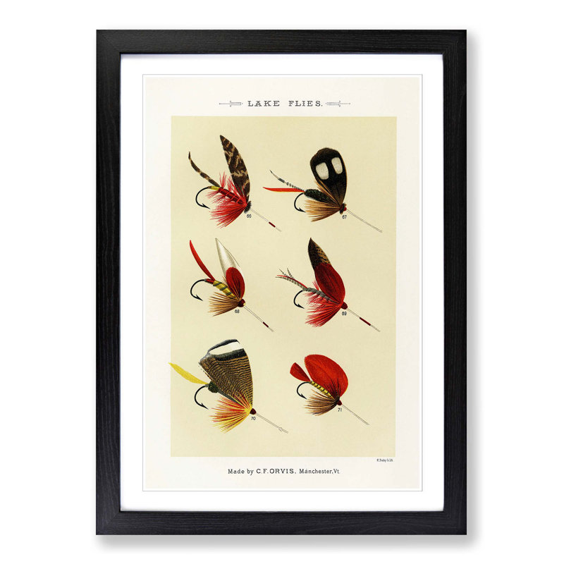 Lake Fishing Flies Version 5 by Mary Orvis Marbury - Picture Frame Painting Print, 60cm H x 40cm W x 2cm D, Black