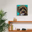 «Blue Doodle Brother 1» par Carolee Vitaletti, art mural sur toile-1538569175