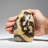 Polished Septarian Freeform from Madagascar (1.85 Lbs)