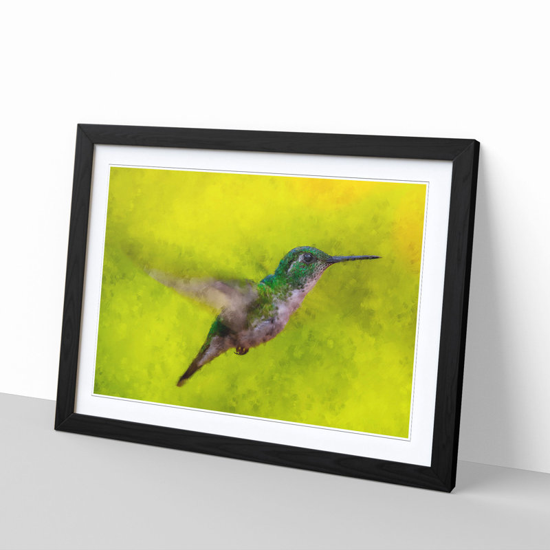 Hummingbird in Costa Rica - Picture Frame Painting Print, 24cm H x 33cm W x 2cm D, Black Framed