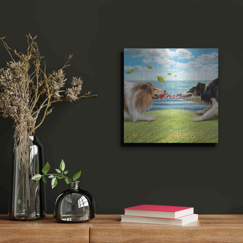 «Lark Manor ™« Five Of Air-Collies »par Dan Craig, art mural en métal, H 12 po x l 12 po