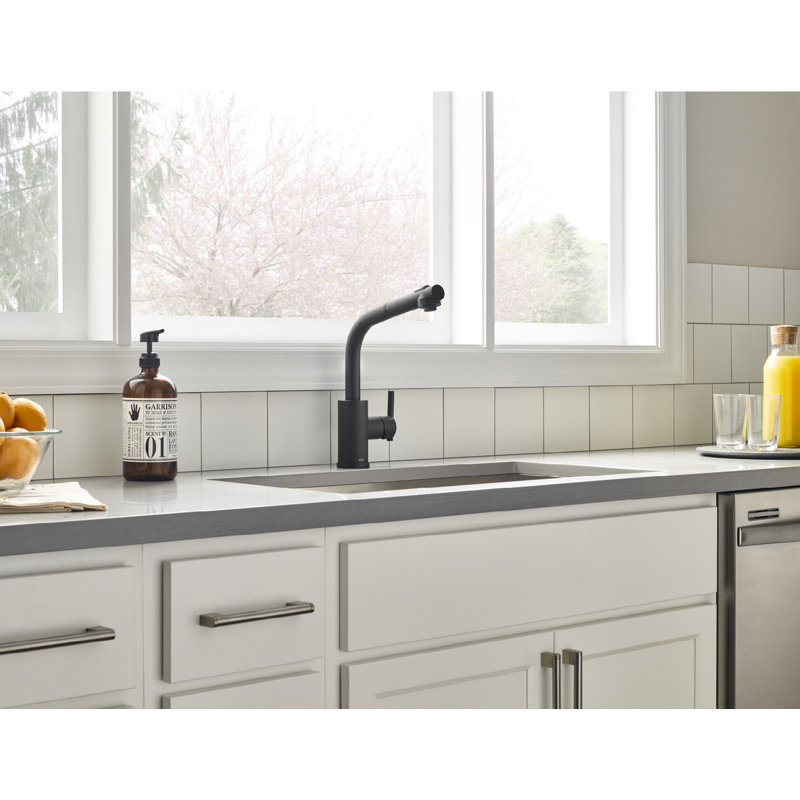 Parma Pull Out Single Handle Kitchen Faucet