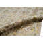 Dharma Oriental Area Rug