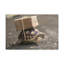 No Frame Print on Canvas-376739578
