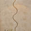 Wrangler Floor light finished and Raffia-1238586471