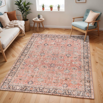 Colin Machine Washable Traditionnal Boho Area Rug