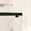 60 po X P 76 po H Porte de douche coulissante semi-sans cadre au fini noir mat