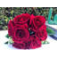 Arrangement floral rose-30611187-30955800