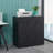 Lauralea 35.5'' Wide Storage Cabinet-139289531