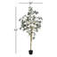Arbre en pot Winnetka-27703839