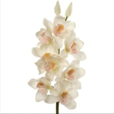 30" Cymbidium Orchid Stem - 3 Pack