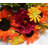 Arrangement-2147351206