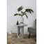Lily's Living 20 po Table d'appoint Diameter