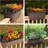 Hriska Railing Planter-1993069078