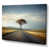 Wrapped Canvas