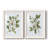 " Magnolia Morning I " 2 - Pieces-166490089-166490088