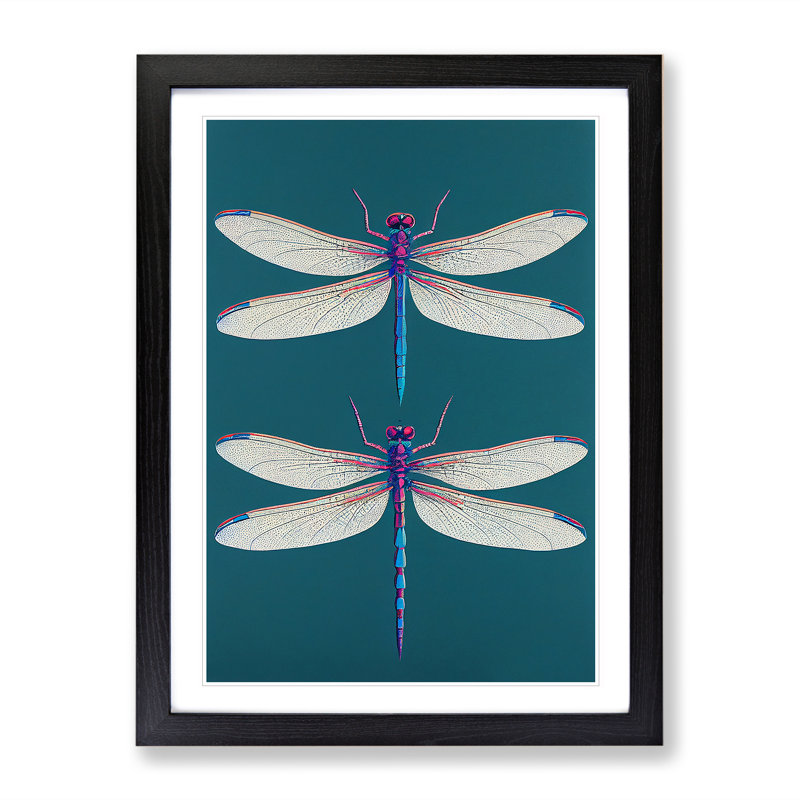 Stunning Dragonflies - Single Picture Frame Print, Black , 64cm H x 46cm W x 2cm D