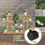 Plant Stand - Set of 8